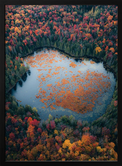 Wall art Autumn at the Lake